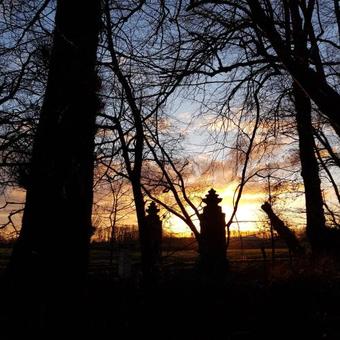 Bed & Breakfast Op De Bult