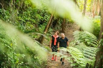 Hotel Bay Of Many Coves