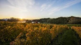 Kina Beach Vineyard Cottages