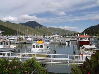 Havelock Garden Motel
