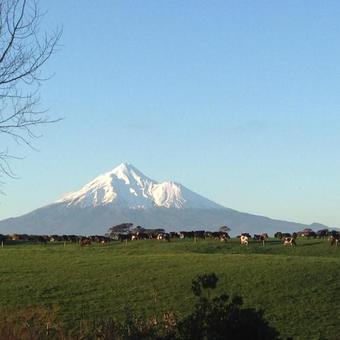 Punehu Stream Cottage