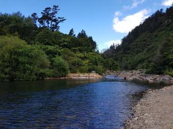 Hostal Riverside Accommodation