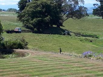 Hostal Maungaraupi Country Estate