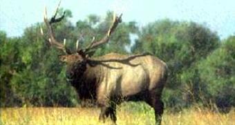 Hotel Best Western Newark Airport West