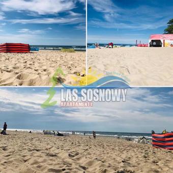 Apartamenty Las Sosnowy ?uk?cin