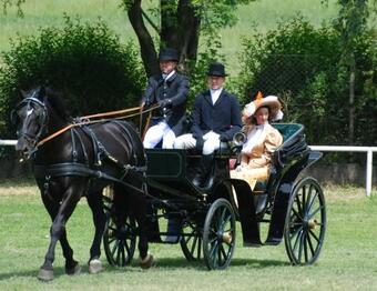 Agroturismo Folwark Leszczyn�wka