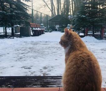 Bed & Breakfast Willa Mi?osna