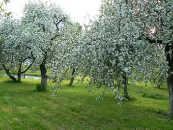 Apartamento Staszkowa Zagroda Nad Rospud?