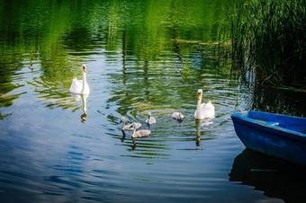 Apartamenty Pod Zamkow? G�r?