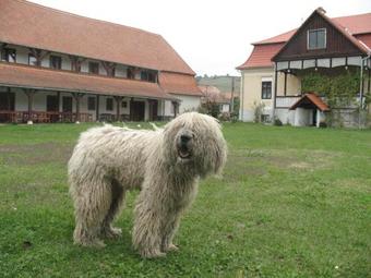 Hostal K�ria Vend�gh�z