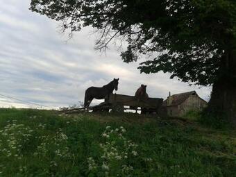 Bed & Breakfast Convivium Transilvania