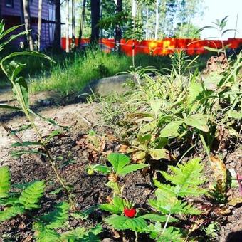 Hostal Cottages Sosnovo Life