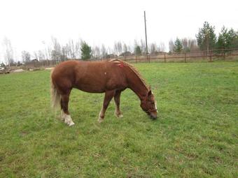 Hostal House Near The Lake