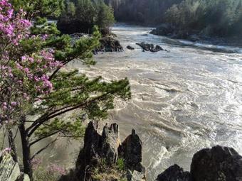 Hostal Guest House U Vasilicha