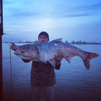 Bed & Breakfast Astrahanskaya Zhemchuzhina Hotel