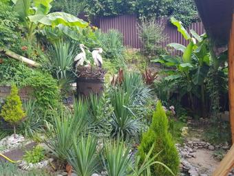 Hostal Guest House Good House