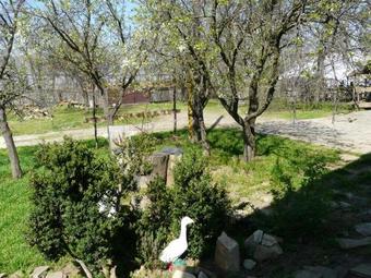 Hostal Guest House Manych-gudilo