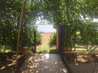 ???????-????? ?? ?????? ????