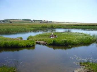 Hotel Arkaimskie Prostory