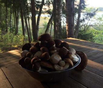 Posada Baza Otdykha Yar