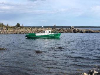 Hostal Cedar Grass Beloye More