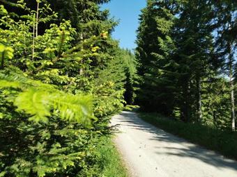 Apartments Rogla Jurgovo - Ski In Ski Out