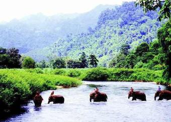 Hotel Comsaed River Kwai Resort