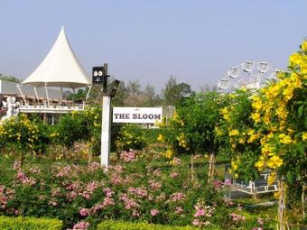 Hotel The Bloom