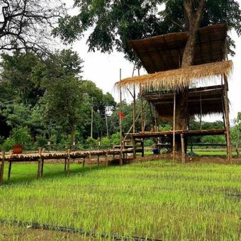 Supalai Pasak Resort Hotel And Spa