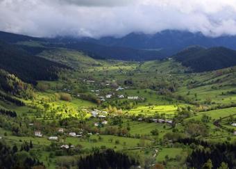 Black Forest Hotel&spa