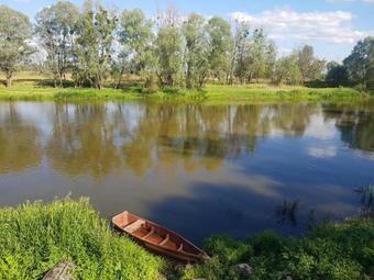 Guest House Tanya Plus Petya