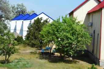 Posada ?/? Pina Colada