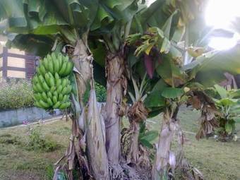 Hostal Pousada Do Maguila