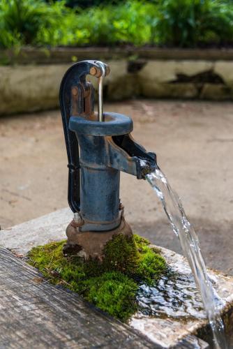 The Cabins At Healing Springs