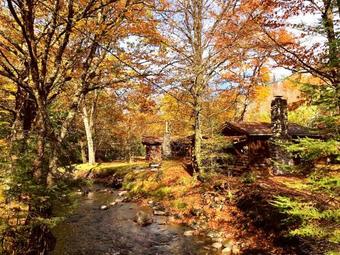 Lodge Rustic Log Cabins