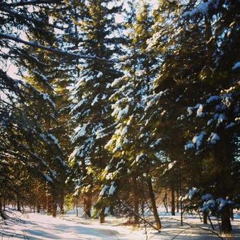 Spillover Motel And Inn