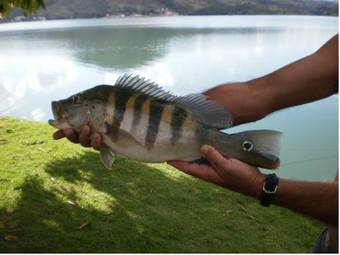 Bed & Breakfast Pousada Mar De Minas