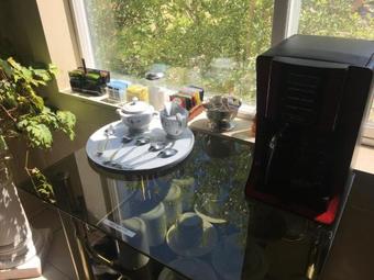 Shady Lady Bed And Breakfast