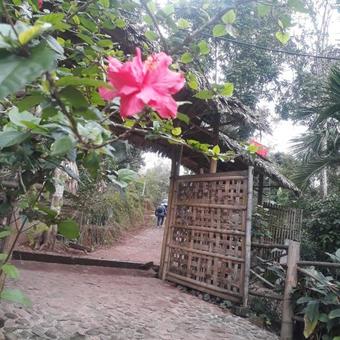 Muong Bi Homestay