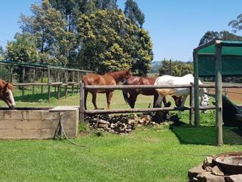 Agroturismo The Hay Barn
