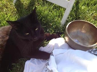 Domaine De La Coteire