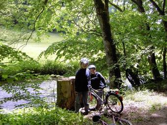 Apartamento Ferienwohnungen Holder