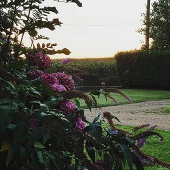 Bed & Breakfast Domaine De La Fauvriere