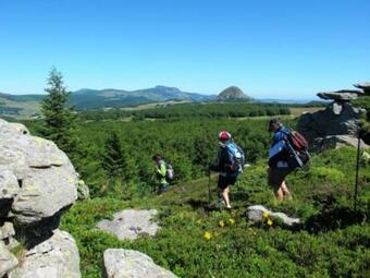 Apartamento Le Pont De La Loire