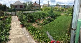 Hostal K�k�rcsin Vend�gh�z