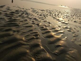 Hotel Sunview Resort