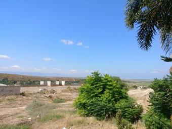 Hostal Assaf's Place - ????? ?? ???