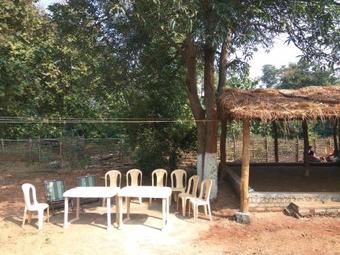 Hostal The Woods Nagzira