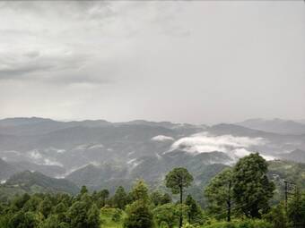 Hotel Kasang Regency Hill Resort