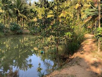 Agroturismo Holidayincoorg Nature's Craft Estate Stay